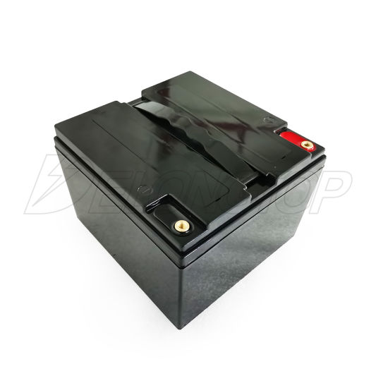 Batterie lithium fer phosphate 12V 25ah LiFePO4 à cycle profond