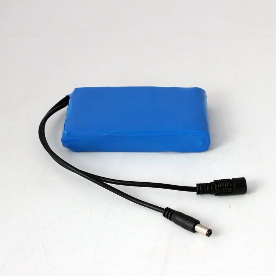 Paquet de batterie au lithium adapté aux besoins du client rechargeable portatif de 12V 4000mAh